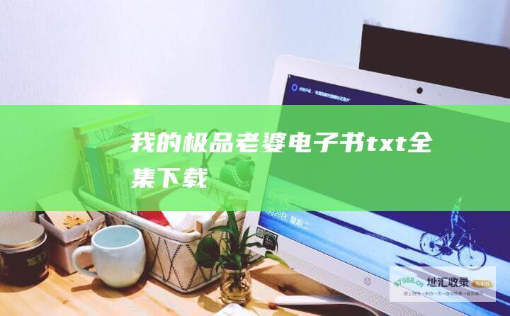 我的极品老婆电子书txt全集下载