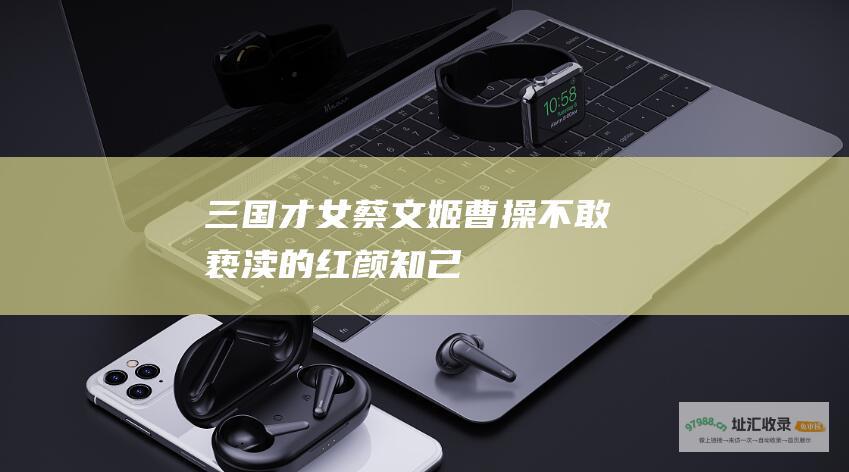 三国才女蔡文姬曹操不敢亵渎的红颜知己