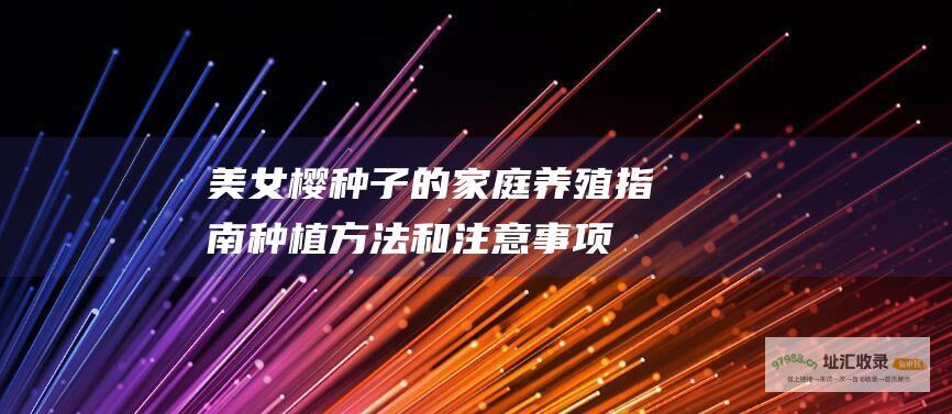 美女樱种子的家庭养殖指南 种植方法和注意事项