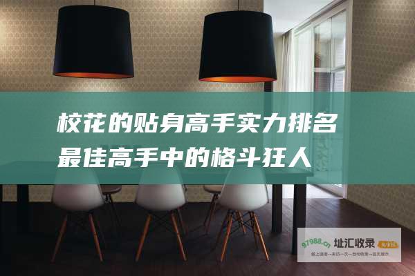 校花的贴身高手实力排名最佳高手中的格斗狂人