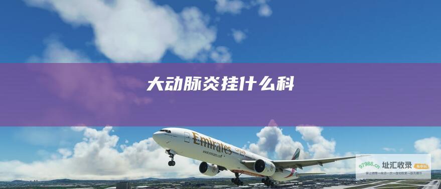 大动脉炎挂什么科