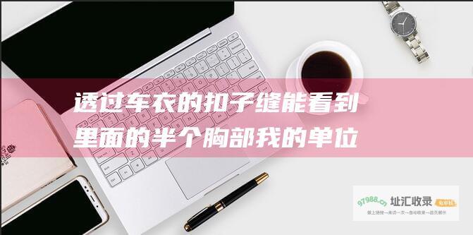 透过车衣的扣子缝能看到里面的半个胸部我的单位