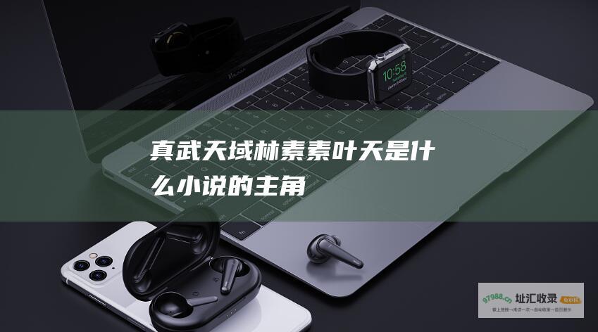 真武天域林素素叶天是什么小说的主角