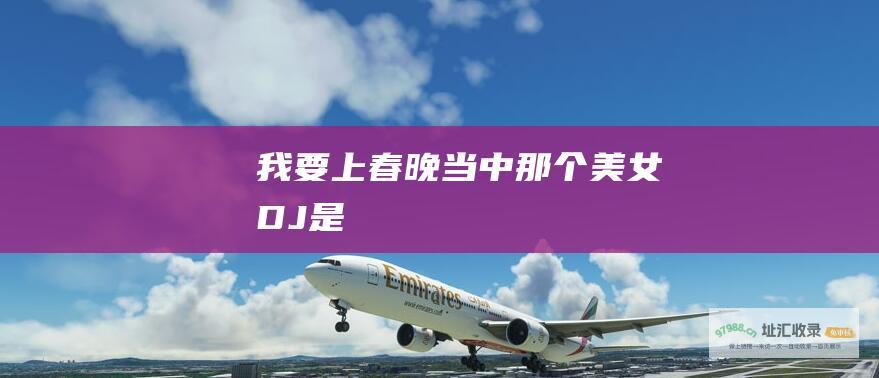 我要上春晚 当中那个美女DJ是....