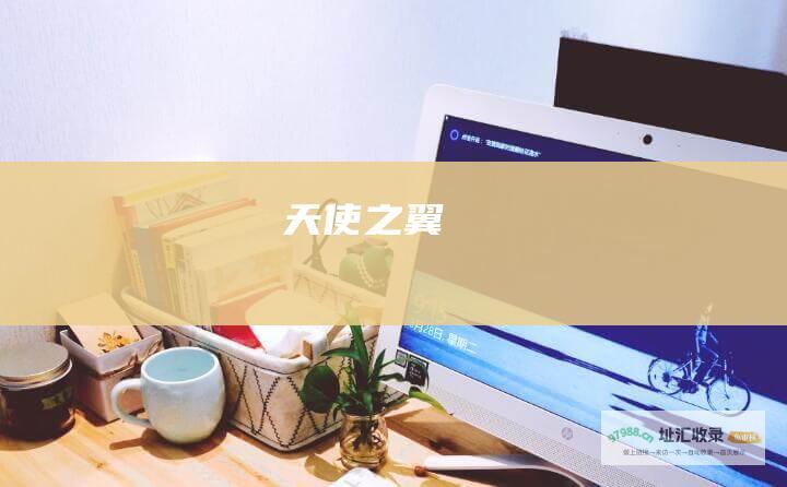 天使之翼