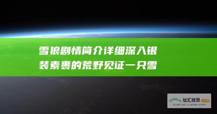 雪狼剧情简介详细 深入银装素裹的荒野 见证一只雪狼的传奇故事
