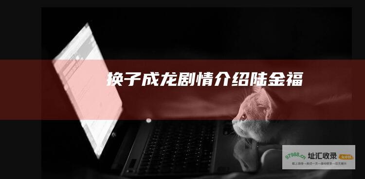 换子成龙剧情介绍陆金福