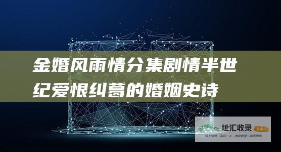 金婚风雨情分集剧情半世纪爱恨纠葛的婚姻史诗