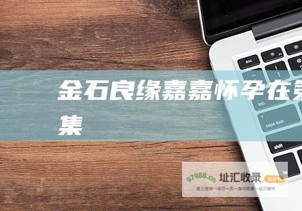 金石良缘 嘉嘉怀孕在第几集