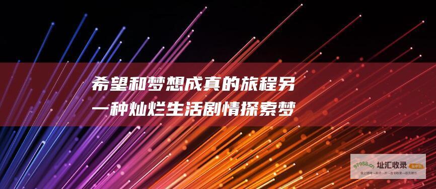 希望和梦想成真的旅程另一种灿烂生活剧情探索梦