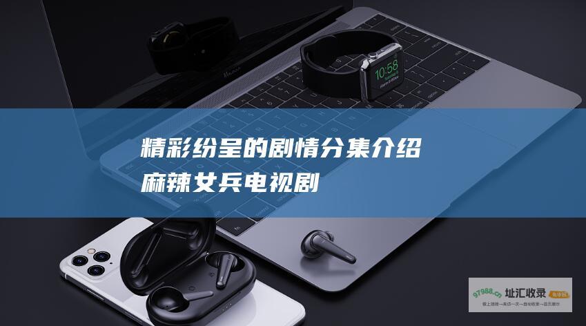 精彩纷呈的剧情分集介绍麻辣女兵电视剧