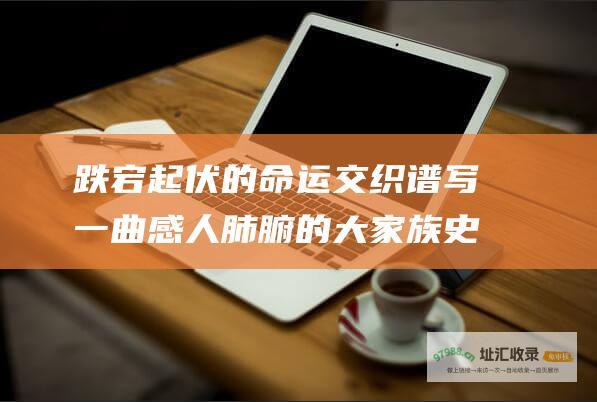 跌宕起伏的命运交织谱写一曲感人肺腑的大家族史