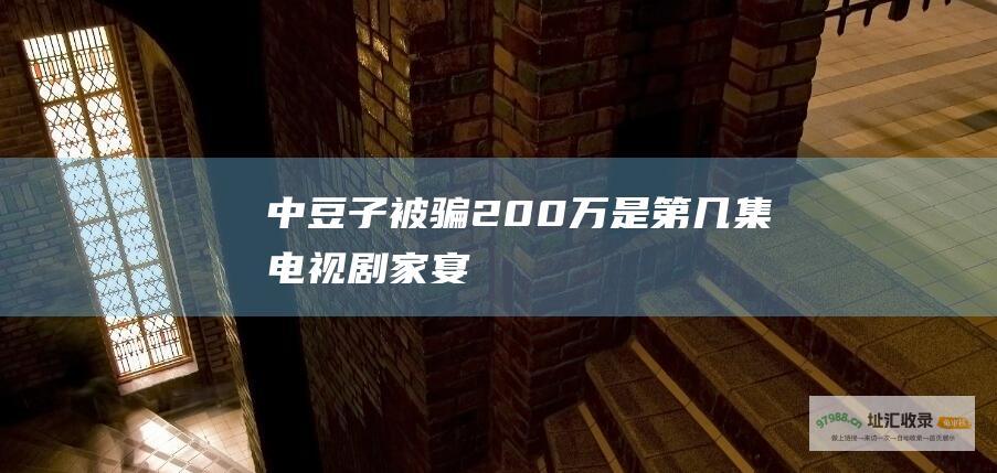 中豆子被骗200万是第几集电视剧家宴