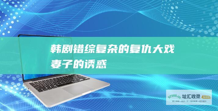 韩剧错综复杂的复仇大戏妻子的诱惑