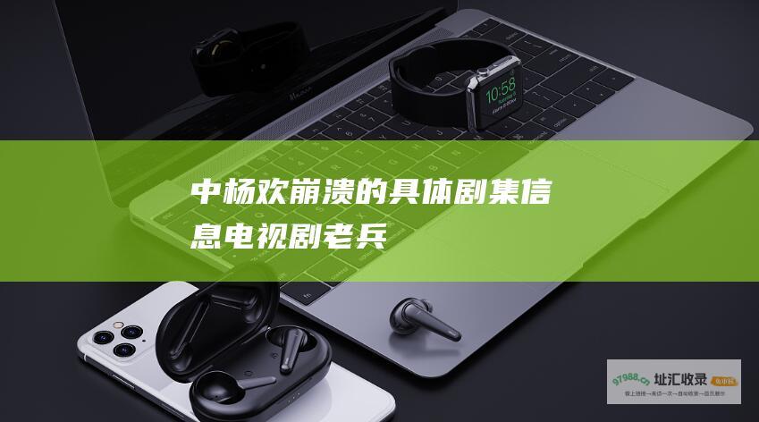 中杨欢崩溃的具体剧集信息电视剧老兵