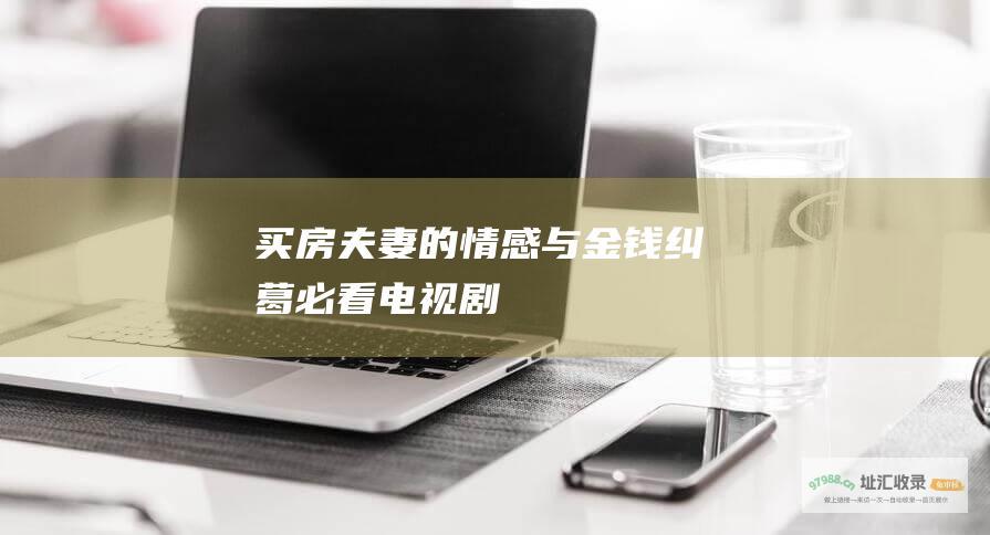 买房夫妻的情感与金钱纠葛必看电视剧