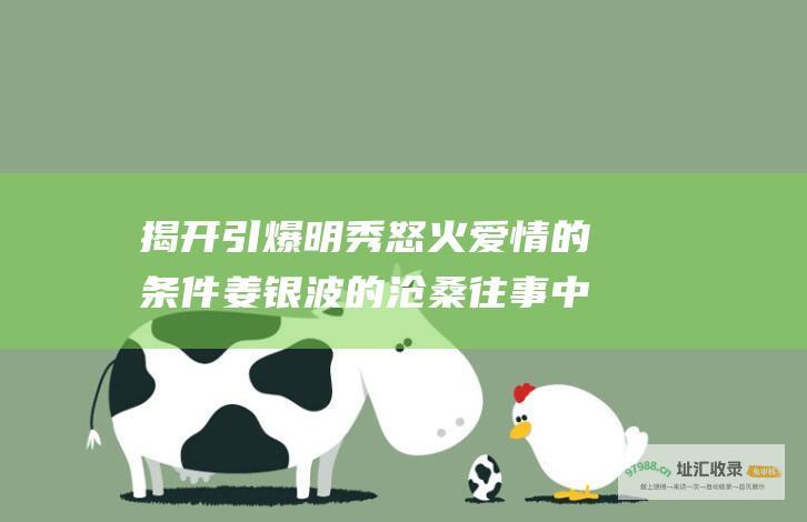 揭开 引爆明秀怒火 爱情的条件 姜银波的沧桑往事 中的隐秘过往