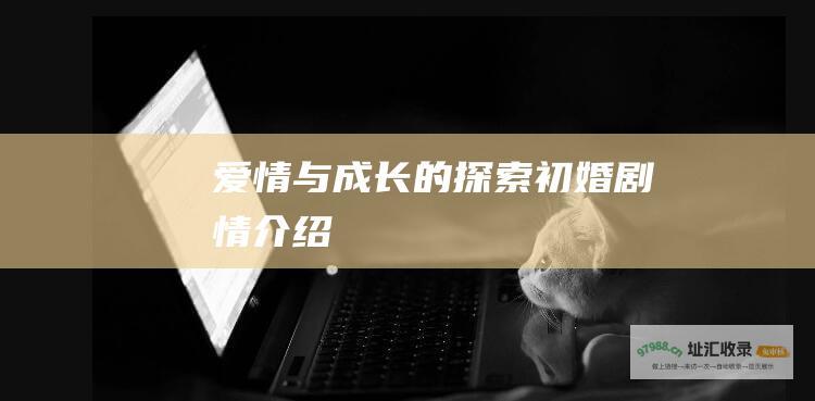 爱情与成长的探索 初婚剧情介绍