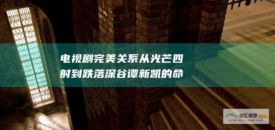 电视剧完美关系从光芒四射到跌落深谷谭新凯的命