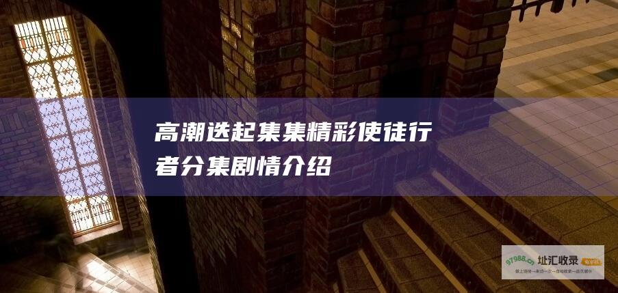 高潮迭起集集精彩使徒行者分集剧情介绍