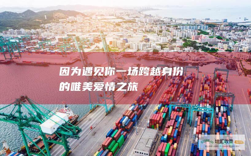 因为遇见你一场跨越身份的唯美爱情之旅