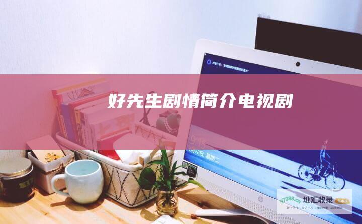 好先生剧情简介电视剧