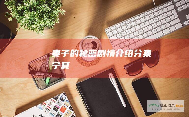 妻子的秘密剧情介绍分集宁夏