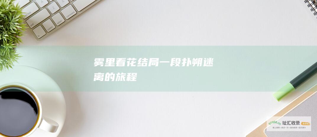 雾里看花结局一段扑朔迷离的旅程