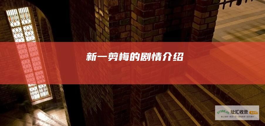 新一剪梅的剧情介绍