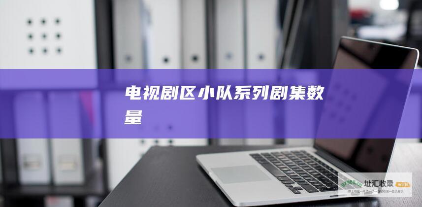 电视剧区小队系列剧集数量