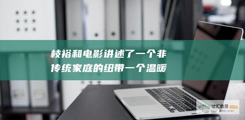 枝裕和电影 讲述了一个非传统家庭的纽带 一个温暖而心碎的故事 小偷家族