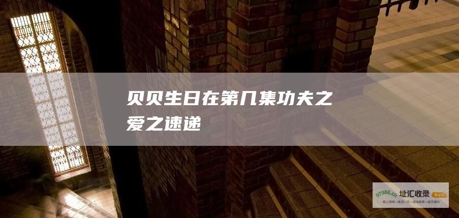 贝贝生日在第几集 功夫之爱之速递