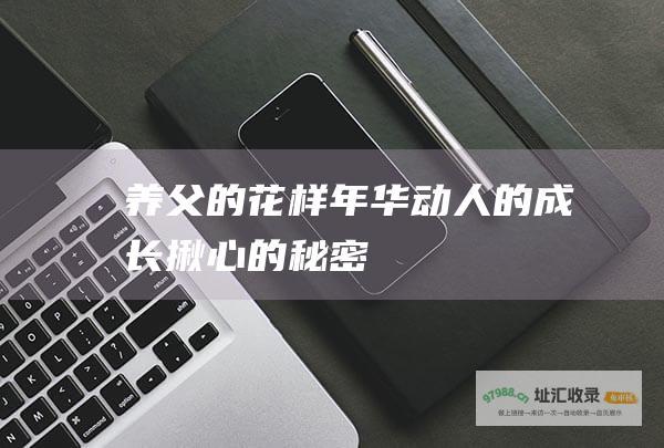 养父的花样年华动人的成长揪心的秘密