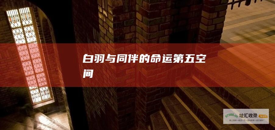 白羽与同伴的命运第五空间