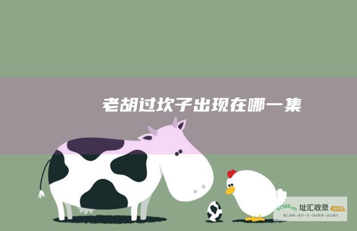 老胡过坎子出现在哪一集