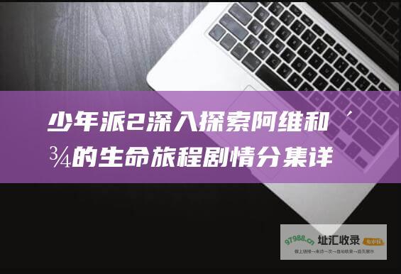 少年派2深入探索阿维和派的生命旅程剧情分集详