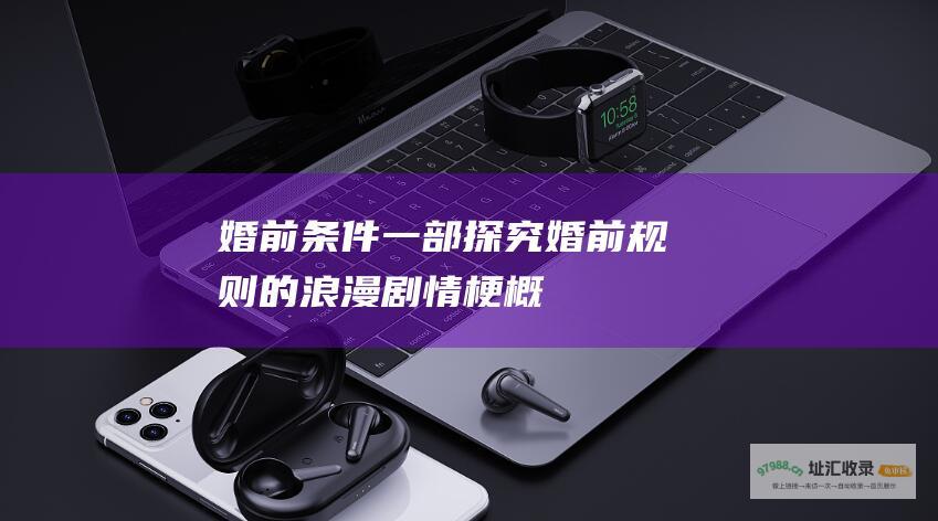 婚前条件 一部探究婚前规则的浪漫剧情梗概