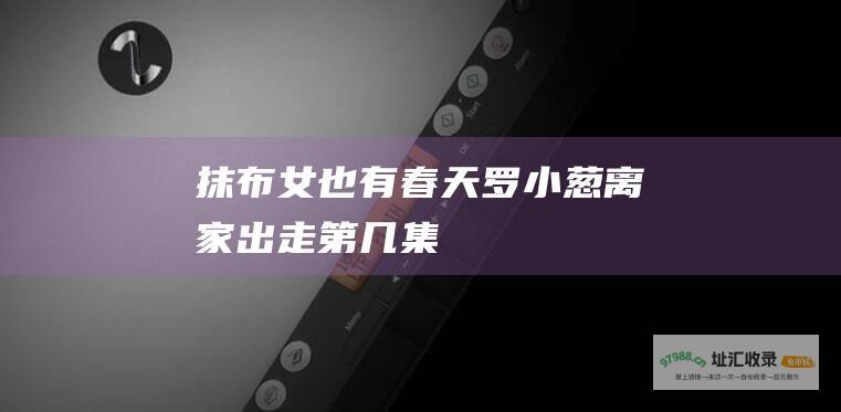 抹布女也有春天罗小葱离家出走第几集