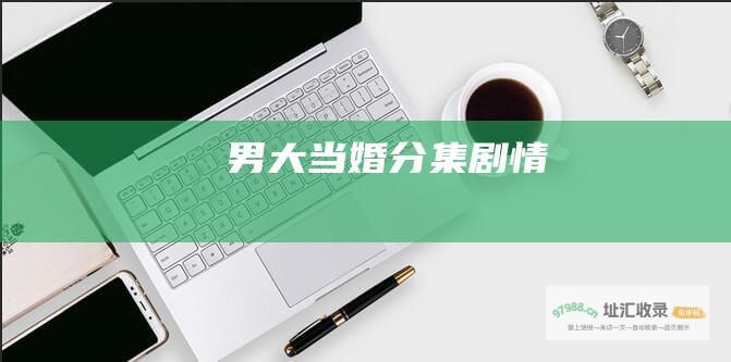 男大当婚分集剧情