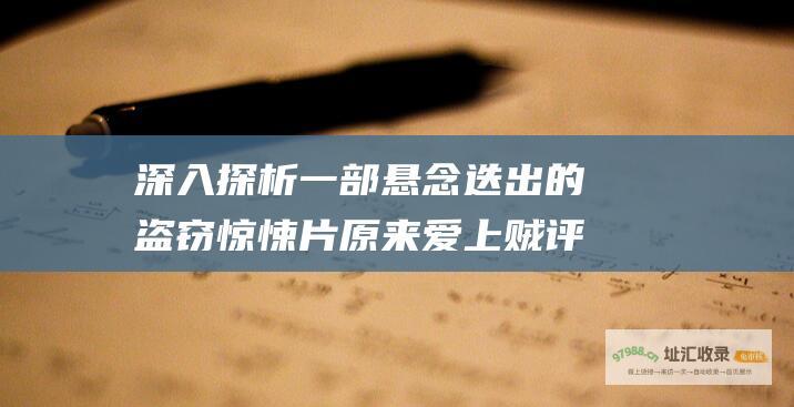 深入探析一部悬念迭出的盗窃惊悚片 原来爱上贼评价