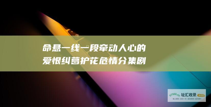 命悬一线一段牵动人心的爱恨纠葛护花危情分集剧