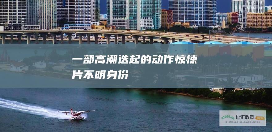 一部高潮迭起的动作惊悚片 不明身份