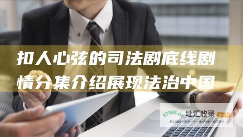 扣人心弦的司法剧底线剧情分集介绍展现法治中国