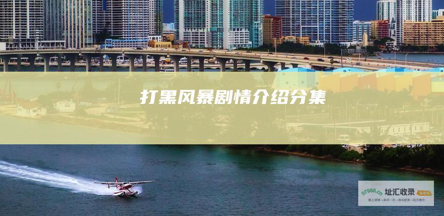 打黑风暴剧情介绍分集
