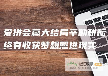 爱拼会赢大结局 辛勤耕耘终有收获 梦想照进现实