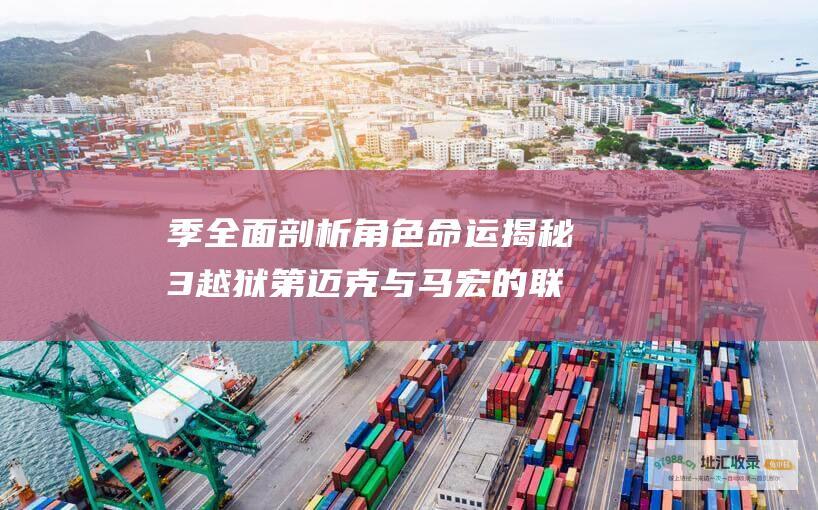季全面剖析角色命运揭秘3越狱第迈克与马宏的联