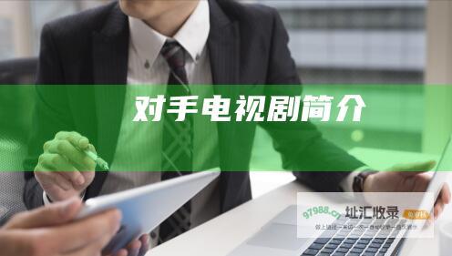 对手电视剧简介