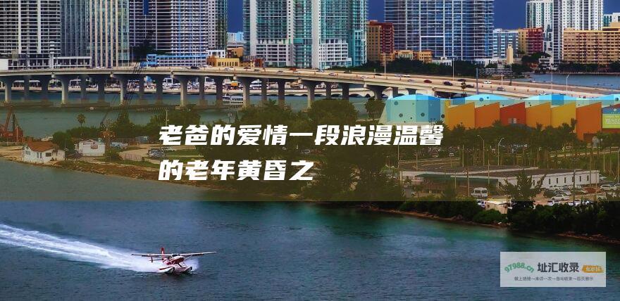 老爸的爱情一段浪漫温馨的老年黄昏之