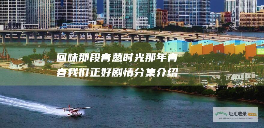 回味那段青葱时光那年青春我们正好剧情分集介绍