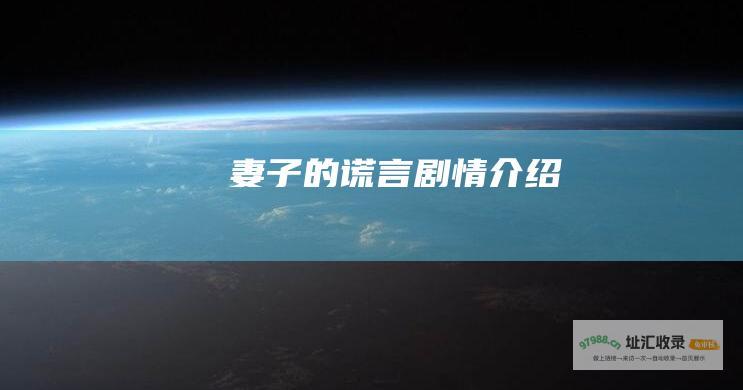 妻子的谎言剧情介绍